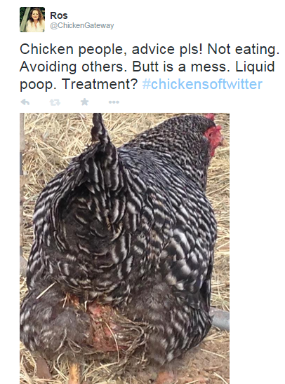 UntitledSick-Chick-Twitter